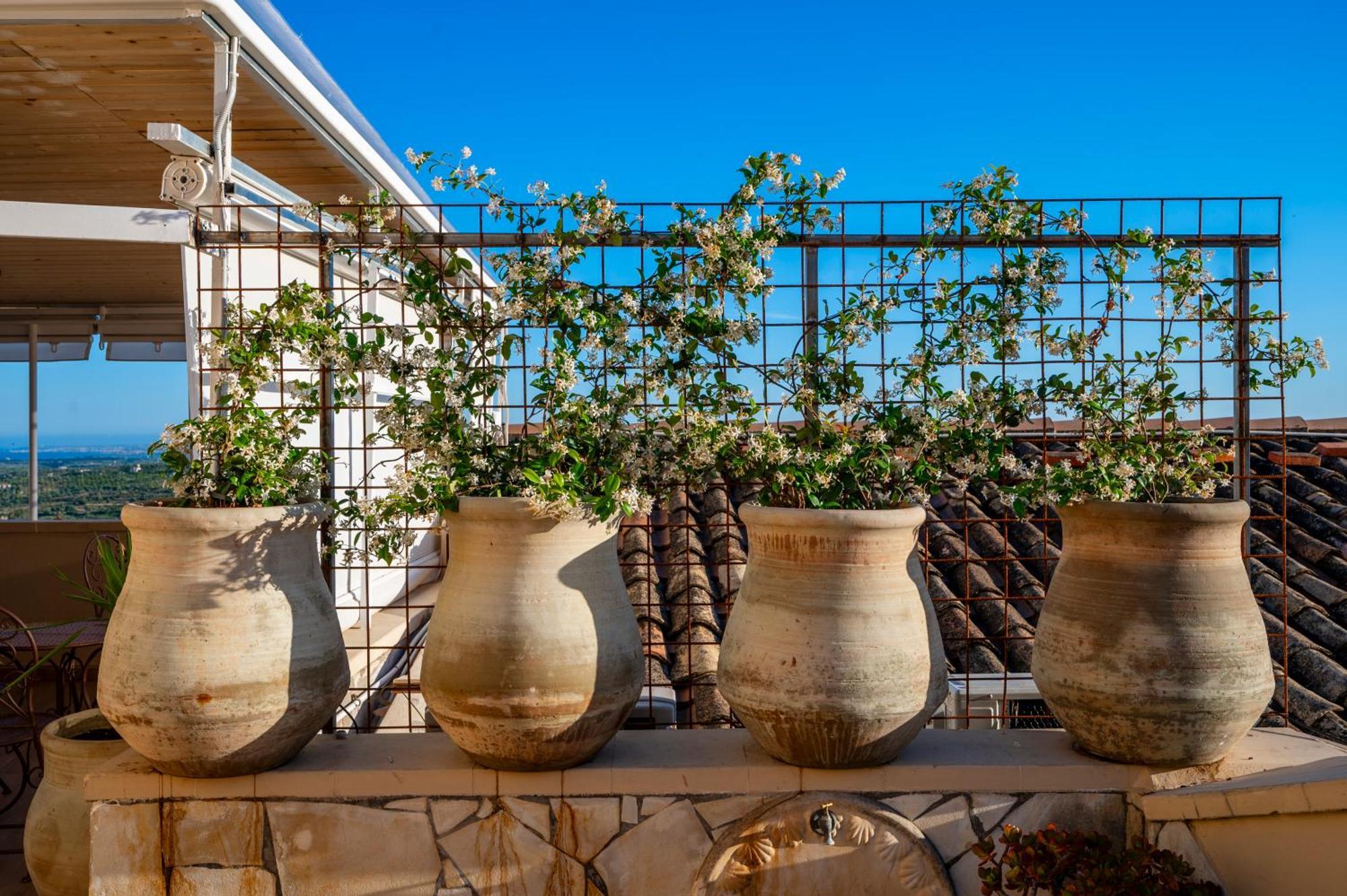 Panorama Suites Noto - Adults Only Екстер'єр фото